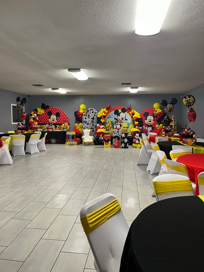Paquete Promoción  Mickey