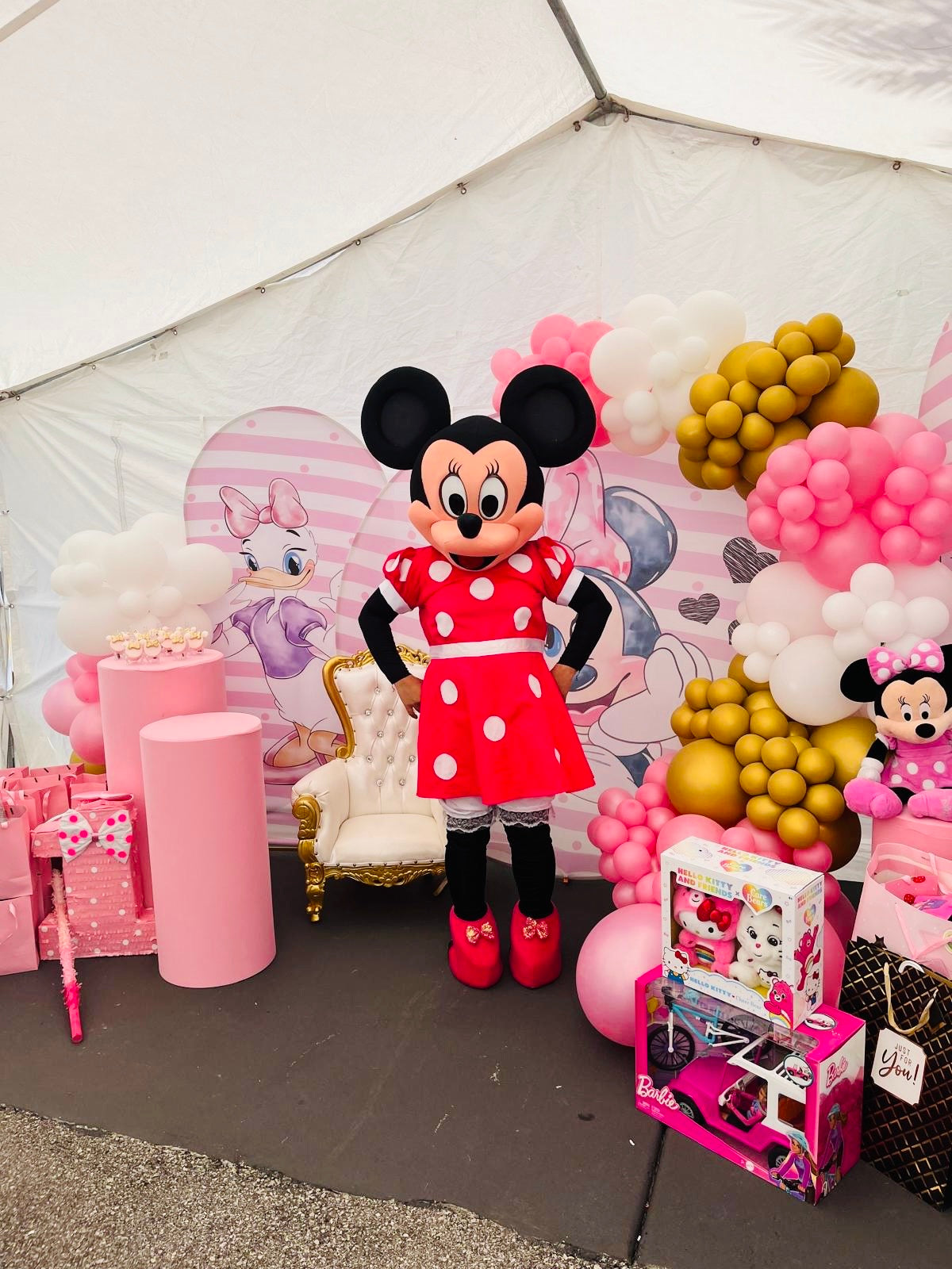 Decoración Minnie