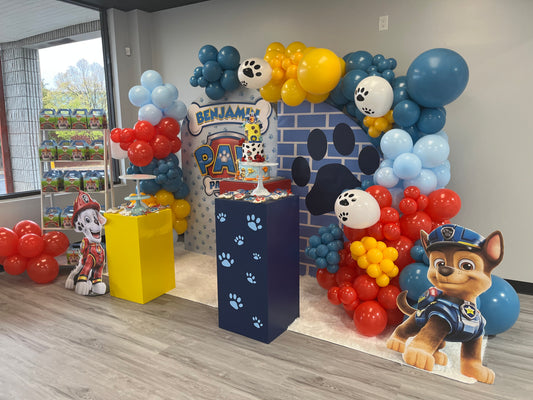 Paquete Paw Patrol 50 invitados