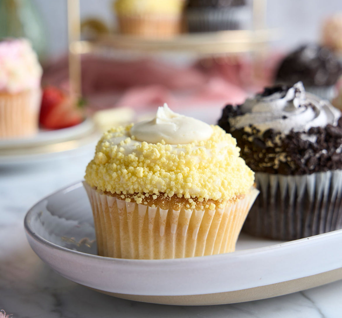 Cupcake Gourmet