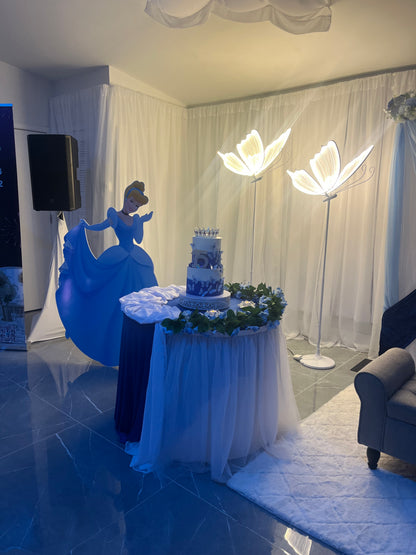 Paquete de 15 años en salón